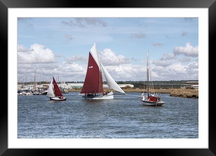 Oyster Smacks at the Hythe Maldon Framed Mounted Print by Diana Mower