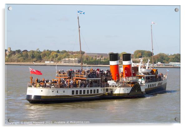 PS Waverley on the River Stour at Harwich Acrylic by Elaine Hayward
