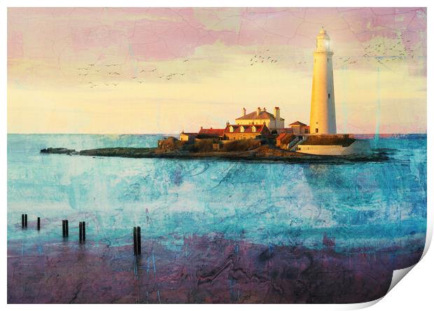 St Marys Lighthouse Print by Anthony McGeever