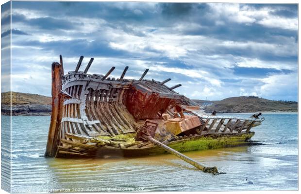 Bad Eddie's Ribcage Canvas Print by jim Hamilton