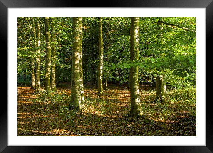 Forest of Dean at St Swithins Road Gloucestershire Framed Mounted Print by Nick Jenkins