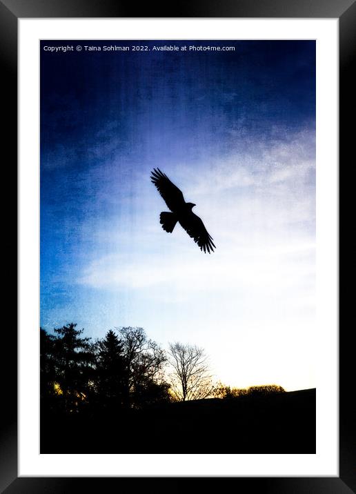 Crows Are Free 1 Vertical Framed Mounted Print by Taina Sohlman