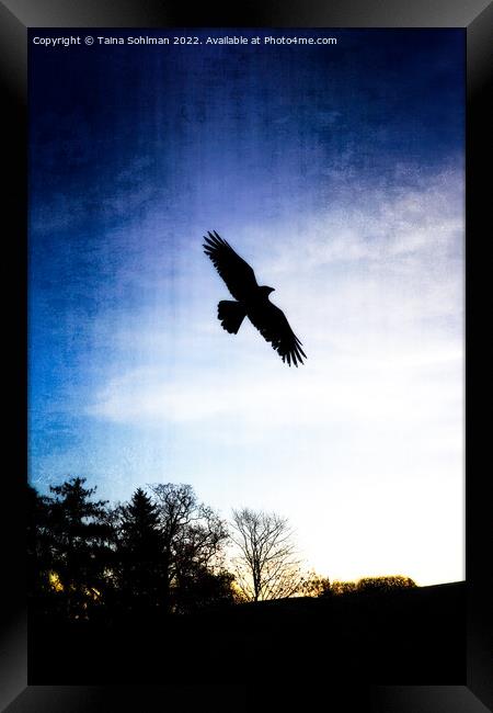 Crows Are Free 1 Vertical Framed Print by Taina Sohlman