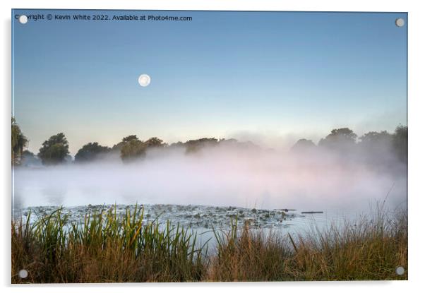 Misty pond with moon in the sky Acrylic by Kevin White