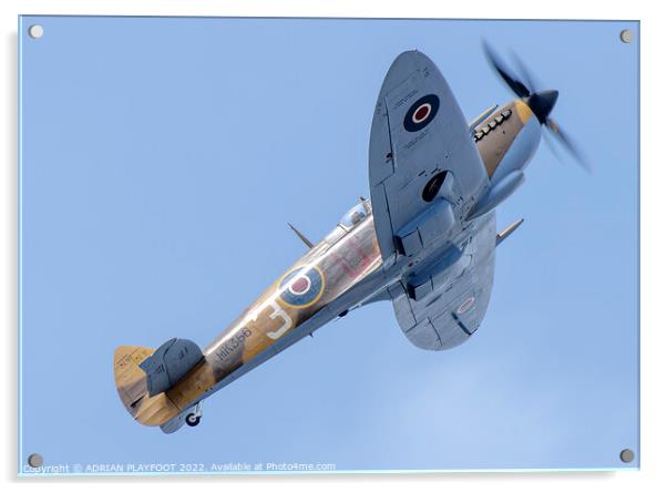 Spitfire Acrylic by ADRIAN PLAYFOOT