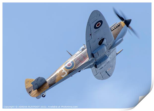 Spitfire Print by ADRIAN PLAYFOOT