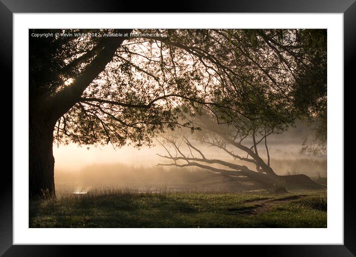 Fallen tree lit by the misty sunrise Framed Mounted Print by Kevin White