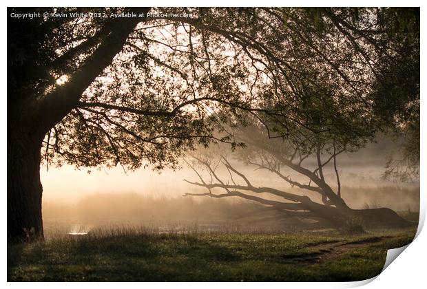 Fallen tree lit by the misty sunrise Print by Kevin White