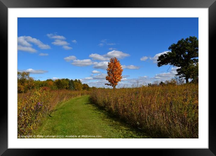 BP Fall Colors (12A) Framed Mounted Print by Philip Lehman