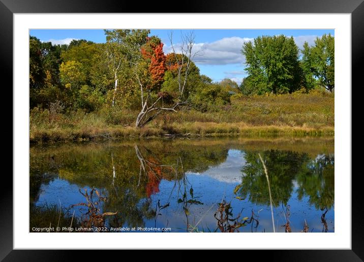BP Pond Reflections (18-55mm) (7B) Framed Mounted Print by Philip Lehman
