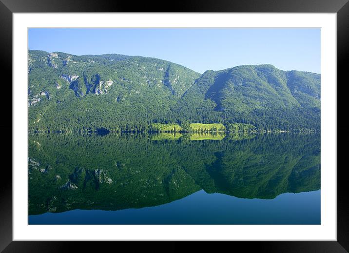 Morning reflections Framed Mounted Print by Ian Middleton