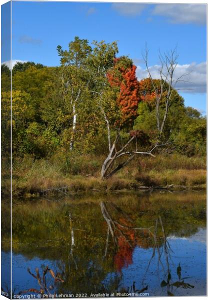 BP Pond Reflections (18-55mm) (9A) Canvas Print by Philip Lehman