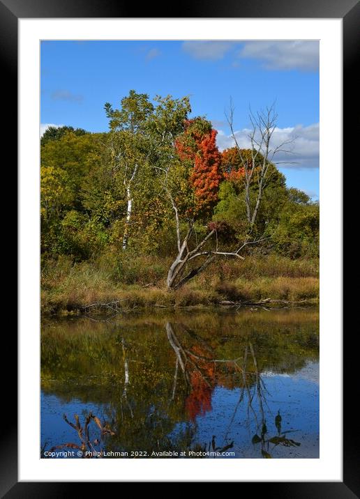 BP Pond Reflections (18-55mm) (9A) Framed Mounted Print by Philip Lehman