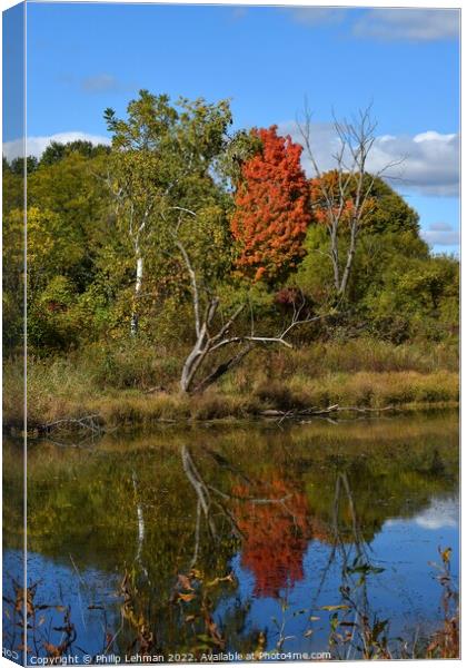 BP Pond Reflections (18-55mm) (13A) Canvas Print by Philip Lehman