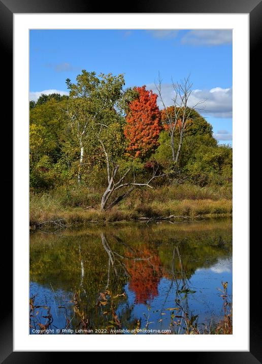 BP Pond Reflections (18-55mm) (13A) Framed Mounted Print by Philip Lehman