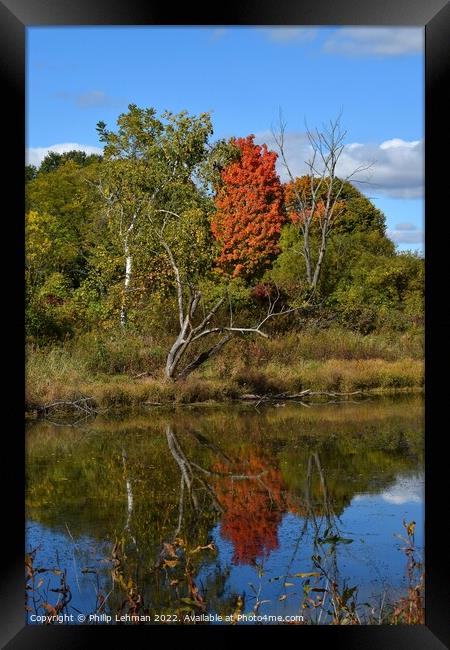 BP Pond Reflections (18-55mm) (13A) Framed Print by Philip Lehman