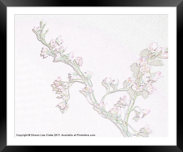 Blossom Framed Mounted Print by Sharon Lisa Clarke