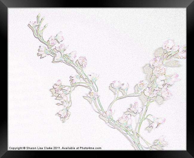 Blossom Framed Print by Sharon Lisa Clarke