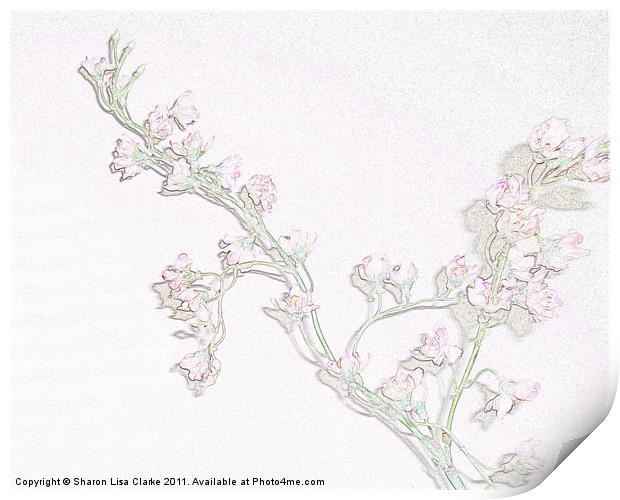 Blossom Print by Sharon Lisa Clarke