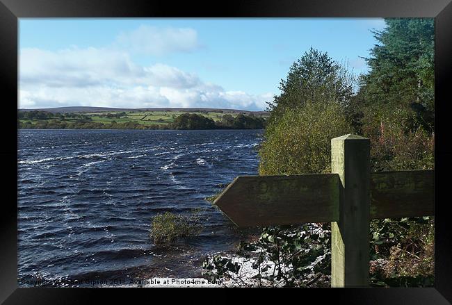 Swinsty Reservoir Framed Print by Robert Gipson