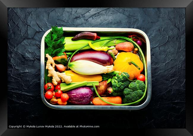 Set of raw vegetables Framed Print by Mykola Lunov Mykola