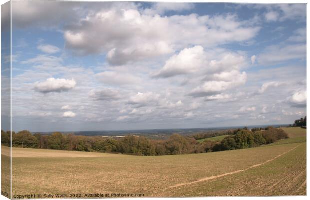 Clouds over Sussex Weald Canvas Print by Sally Wallis