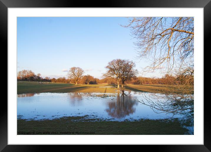 Flooded flields at Hellingly Framed Mounted Print by Sally Wallis