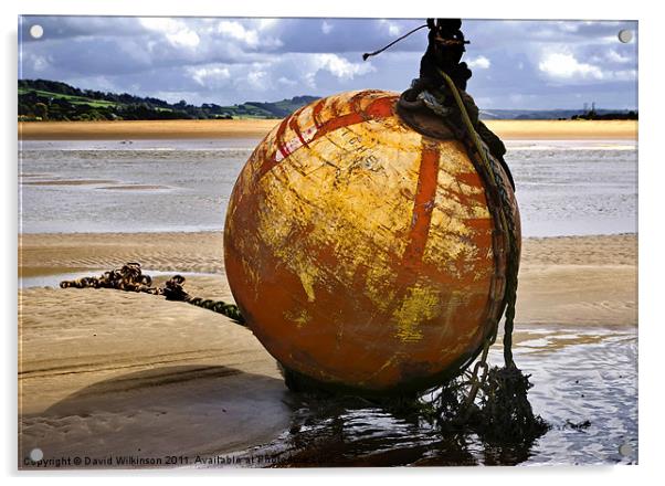 Mooring Buoy Acrylic by Dave Wilkinson North Devon Ph