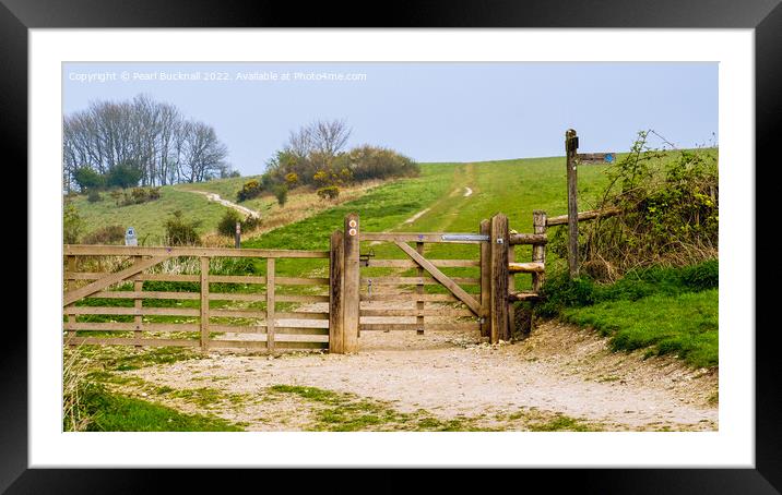 The Way to Harting Down Sussex  Framed Mounted Print by Pearl Bucknall