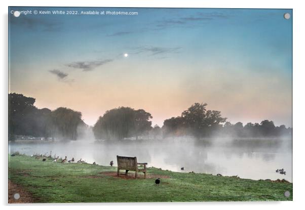 Dawn over Bushy Park Acrylic by Kevin White