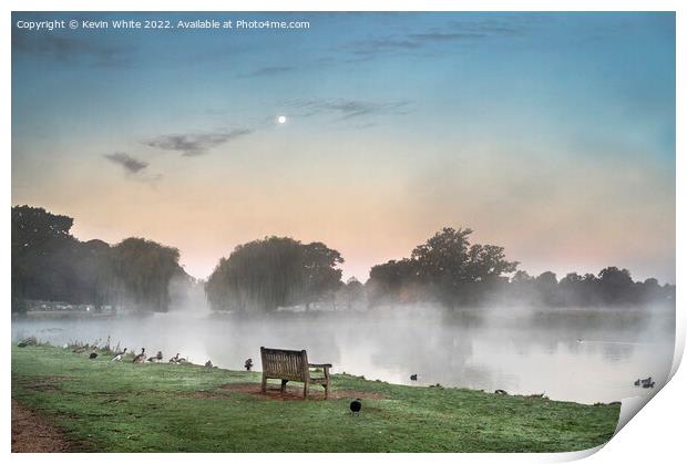 Dawn over Bushy Park Print by Kevin White