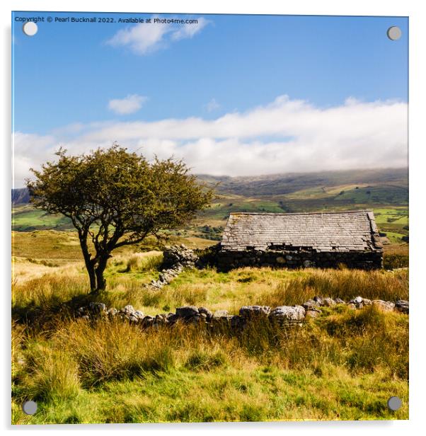 Cwm Pennant Snowdonia Landscape Acrylic by Pearl Bucknall