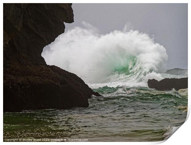 Majestic Waves Print by Dudley Wood