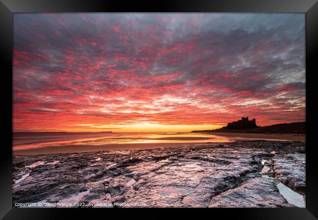 Bamburgh Castle at Sunrise Framed Print by David Pringle