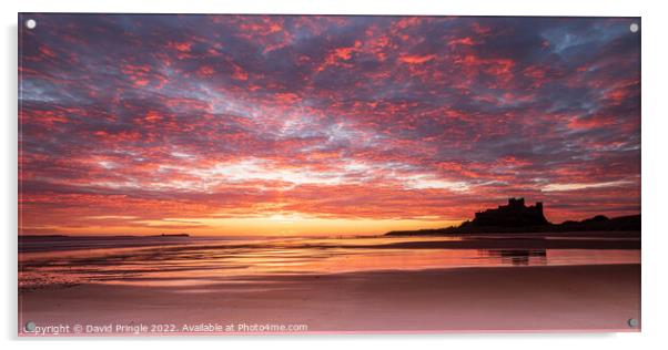 Bamburgh Castle Sunrise Acrylic by David Pringle