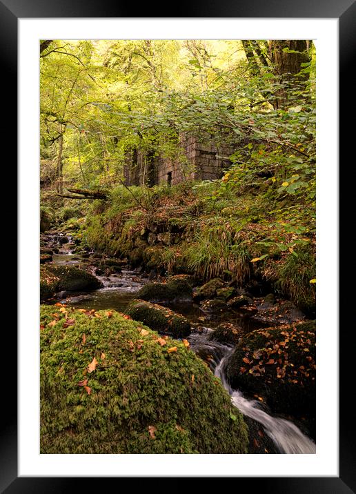 Autumn  river walk Framed Mounted Print by kathy white