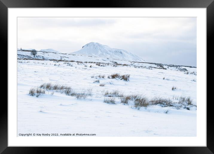 Dumgoyne in winter Framed Mounted Print by Kay Roxby