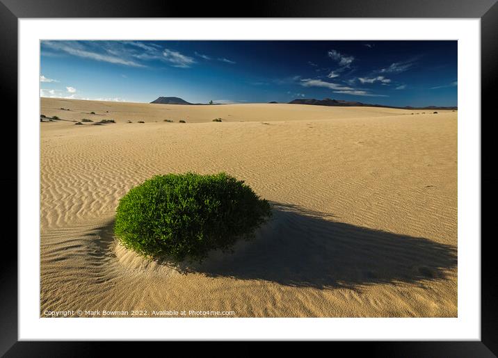 Dune Plant Framed Mounted Print by Mark Bowman
