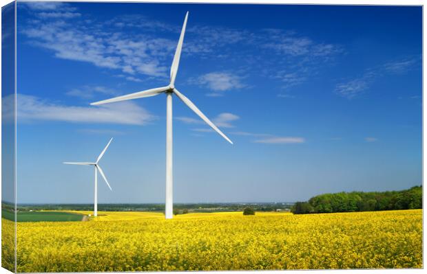Marr Wind Farm and Rapeseed Canvas Print by Darren Galpin