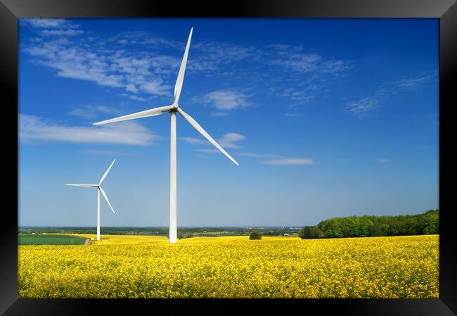 Marr Wind Farm and Rapeseed Framed Print by Darren Galpin