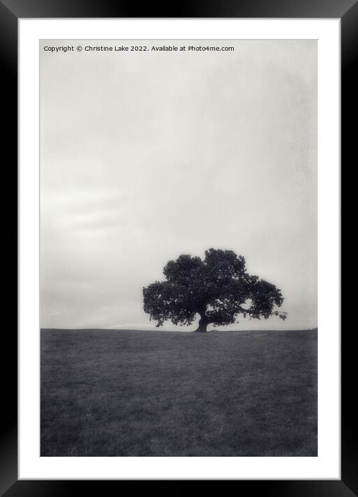 Lonesome Tree Framed Mounted Print by Christine Lake