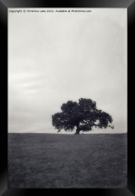 Lonesome Tree Framed Print by Christine Lake