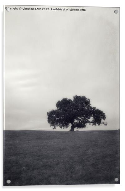 Lonesome Tree Acrylic by Christine Lake
