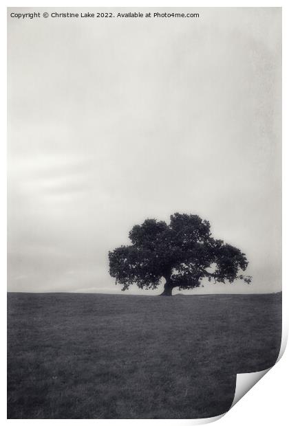 Lonesome Tree Print by Christine Lake