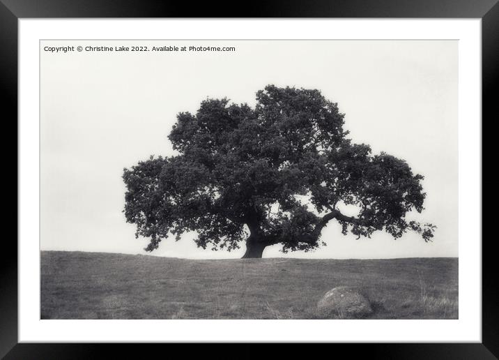 Lonesome Tree 2 Framed Mounted Print by Christine Lake
