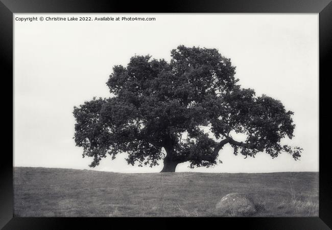 Lonesome Tree 2 Framed Print by Christine Lake