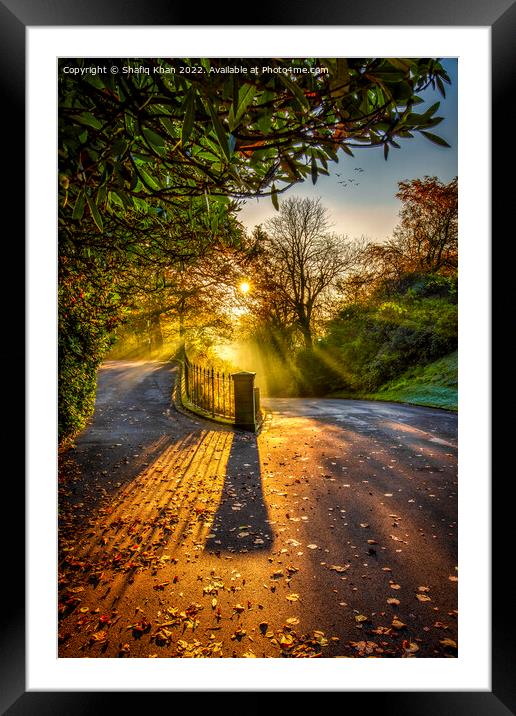 Morning Sunrays in Autumn Framed Mounted Print by Shafiq Khan