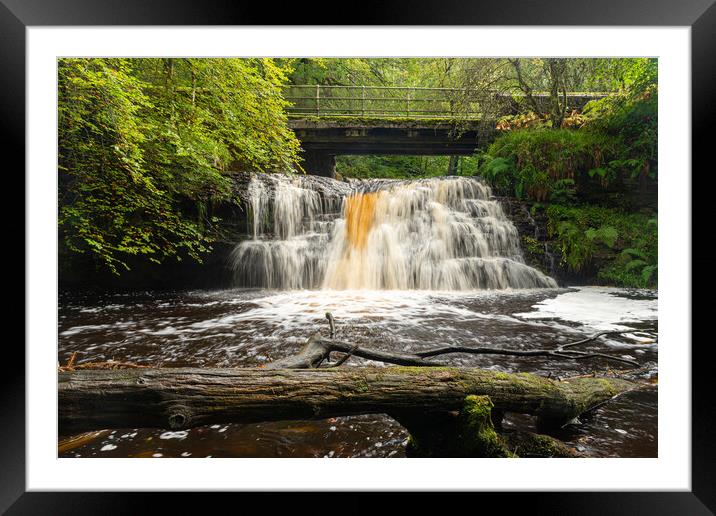 Hamsterley forest waterfall Framed Mounted Print by Kevin Winter