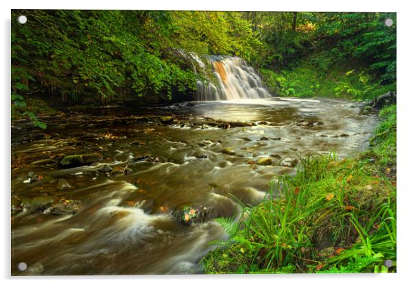 Hamsterley forest waterfall Acrylic by Kevin Winter