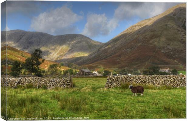 Wasdale in the Lake District  Canvas Print by Neil Holman
